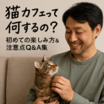 猫カフェ初心者必見！安心して楽しむためのルール・料金・SNS活用術をやさしく紹介