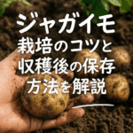 経験者が語る！家庭菜園でジャガイモを上手に育てるコツ・Q＆Aと実践体験談集