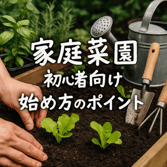 家庭菜園で暮らしが変わる！家族で楽しむ野菜作りと収穫体験の魅力