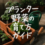 ベランダ菜園を成功に導く！省スペースで始めるプランター家庭菜園の始め方と便利グッズ